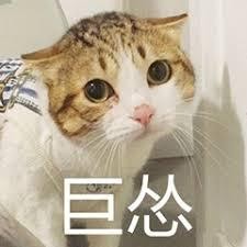你试过这个医美修复疗程嘛？